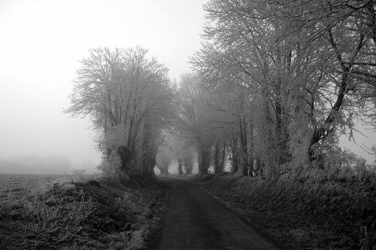 frosty lane