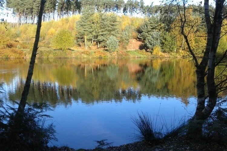 lake cannock